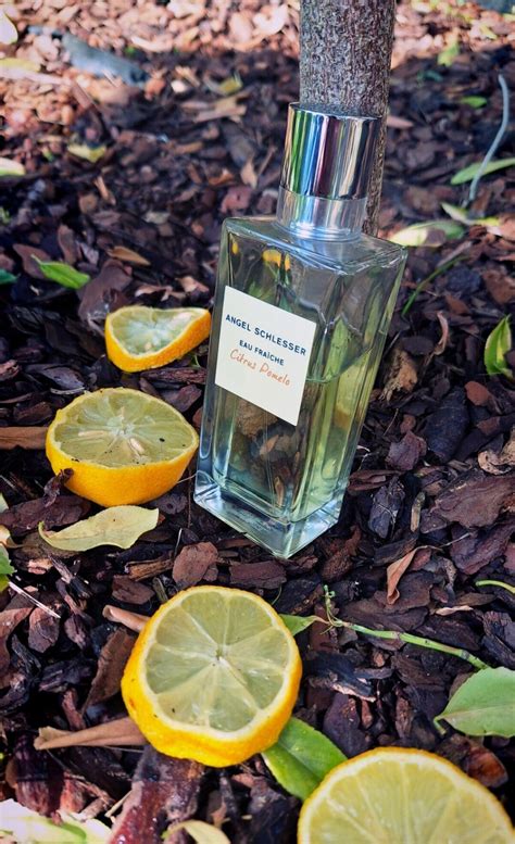 perfume angel schlesser citrus pomelo